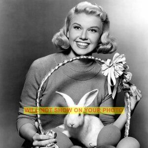 Photo Collectible Print 8x10 Hollywood Actress Lovely Doris Day & Packy The Hare